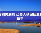 勾引男朋友 让男人秒回信息的句子 