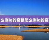 怎么测iq的高低怎么测iq的高低