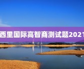 西里国际高智商测试题2021