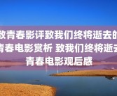致青春影评致我们终将逝去的青春电影赏析 致我们终将逝去青春电影观后感