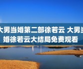 大男当婚第二部徐若云 大男当婚徐若云大结局免费观看 