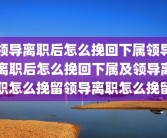 领导离职后怎么挽回下属领导离职后怎么挽回下属及领导离职怎么挽留领导离职怎么挽留