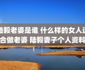 陆毅老婆是谁 什么样的女人适合做老婆 陆毅妻子个人资料