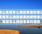老公离婚怎么挽回老婆的老公离婚怎么挽回老婆的感情老公离婚怎么挽回老婆的感情