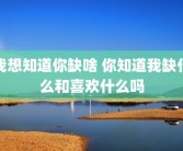 我想知道你缺啥 你知道我缺什么和喜欢什么吗