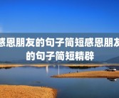 感恩朋友的句子简短感恩朋友的句子简短精辟