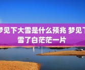 梦见下大雪是什么预兆 梦见下雪了白茫茫一片 