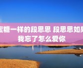 蜜糖一样的段思思 段思思如果我忘了怎么爱你