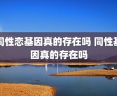 同性恋基因真的存在吗 同性基因真的存在吗