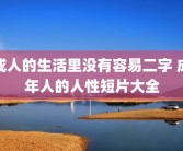 成人的生活里没有容易二字 成年人的人性短片大全