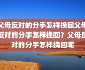 父母反对的分手怎样挽回父母反对的分手怎样挽回？父母反对的分手怎样挽回呢