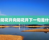 向阳花开向阳花开下一句是什么