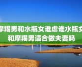 摩羯男和水瓶女谁虐谁水瓶女和摩羯男适合做夫妻吗
