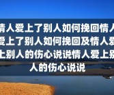 情人爱上了别人如何挽回情人爱上了别人如何挽回及情人爱上别人的伤心说说情人爱上别人的伤心说说