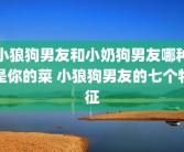 小狼狗男友和小奶狗男友哪种是你的菜 小狼狗男友的七个特征
