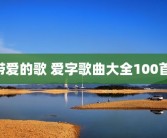 带爱的歌 爱字歌曲大全100首 