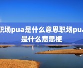 职场pua是什么意思职场pua是什么意思梗
