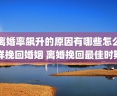 离婚率飙升的原因有哪些怎么样挽回婚姻 离婚挽回最佳时期