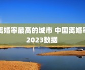 离婚率最高的城市 中国离婚率2023数据 