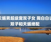 天蝎男超级宠双子女 陶白白说双子和天蝎绝配 
