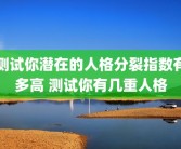 测试你潜在的人格分裂指数有多高 测试你有几重人格