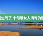 别生气了 十句哄女人消气的话 