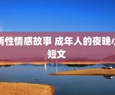 两性情感故事 成年人的夜晚小短文 