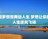 因梦想而舞动人生 梦想让你的人生逆风飞扬