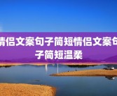 情侣文案句子简短情侣文案句子简短温柔