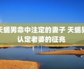 天蝎男命中注定的妻子 天蝎男认定老婆的征兆 