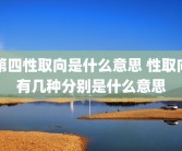 第四性取向是什么意思 性取向有几种分别是什么意思
