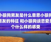 小狼狗男友是什么意思小狼狗男友的特征 和小狼狗谈恋爱是个什么样的感受
