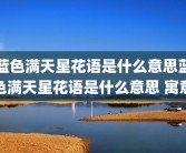 蓝色满天星花语是什么意思蓝色满天星花语是什么意思 寓意