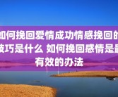 如何挽回爱情成功情感挽回的技巧是什么 如何挽回感情是最有效的办法