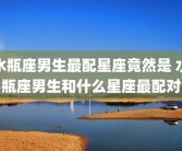 水瓶座男生最配星座竟然是 水瓶座男生和什么星座最配对