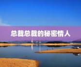 总裁总裁的秘密情人