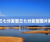 三七分发型三七分发型图片男