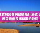 才发现笑着哭最痛是什么歌 笑着哭最痛是哪首歌的歌词