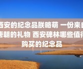 西安的纪念品朕略萌 一份来自唐朝的礼物 西安碑林哪些值得购买的纪念品