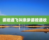 婆媳通飞叫亲爹婆媳通收