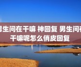 男生问在干嘛 神回复 男生问在干嘛呢怎么俏皮回复 