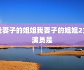 我妻子的姐姐我妻子的姐姐2女演员是