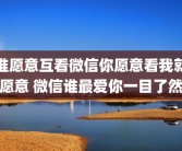谁愿意互看微信你愿意看我就愿意 微信谁最爱你一目了然