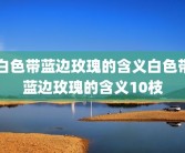 白色带蓝边玫瑰的含义白色带蓝边玫瑰的含义10枝