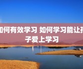 如何有效学习 如何学习能让孩子爱上学习