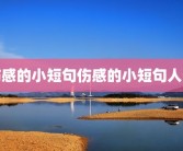 伤感的小短句伤感的小短句人生