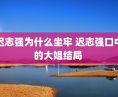 迟志强为什么坐牢 迟志强口中的大姐结局 