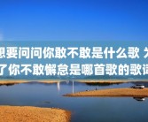 想要问问你敢不敢是什么歌 为了你不敢懈怠是哪首歌的歌词