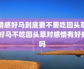 情感好马到底要不要吃回头草 好马不吃回头草对感情有好处吗