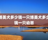 博美犬多少钱一只博美犬多少钱一只幼崽
